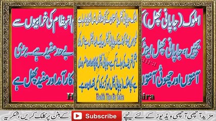 (Persimmon) Amlok Fruit Amaizing Benefits !! Japani Phall Ke Faidy In Urdu