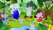 Finger Family Elephant | Animal Finger Family Songs & Nursery Rhymes For Children | Finger Family TV