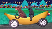 Dinosaurs Gorilla Driving Banana Car Singing Finger Family Hokey Pokey Dance And More Rhymes