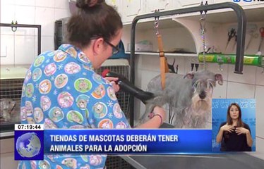 Tiendas de mascotas deberán tener animales para la adopción