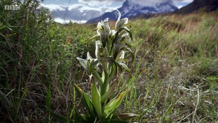 巴塔哥尼亞：地球秘密樂園 2