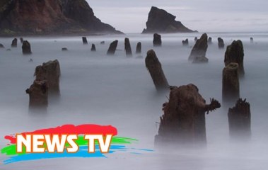 Bí ẩn "khu rừng ma" 2.000 năm tuổi lúc ẩn lúc hiện thu hút sự hiếu kì