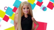 Mattel 2016 - Barbie Teintures Fantastiques / Barbie Mix N Color - TV Toys