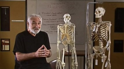 Революция в Эволюции / Документальный фильм