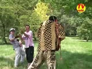 "Bali Balo" Les Proots