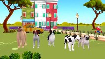 Finger Family Nursery Rhymes for Children Dogs Cartoon | Finger Family Rhymes for Babies
