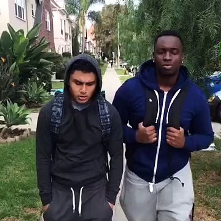 Dog jump on men funny video