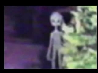 Ufo - Alien Short Grey Evidence (Mexico)
