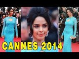 Cannes 2014: Mallika Sherawat Dazzles In Pucci At The Opening Ceremony