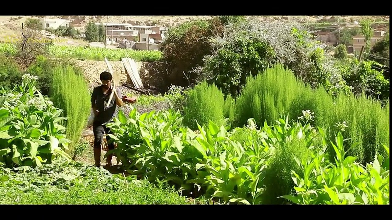Xeyrî - Behsa evînê ji min re neke 2017 ( Nû )