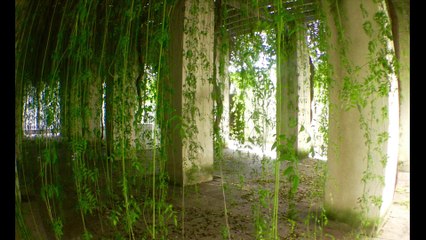 Centre d'Art contemporain et +