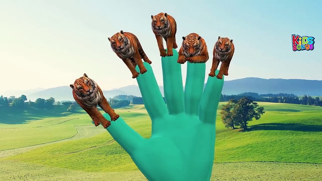 Cartoon Animals Finger Family Children Nursery Rhymes | Animals Finger Family Collection Songs