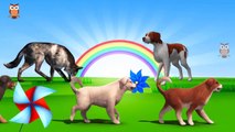 3D Dog Family Finger Song | Dog Wolf, Dog Barks,( White, Black, Brown) Big dog Bark Walk Snif 3d