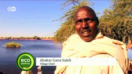Conflict as Lake Chad vanishes | Eco-at-Africa