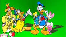 Disney Donald Duck Finger Family | Finger Family Donald Duck | Finger Family_all Nursery Rhymes