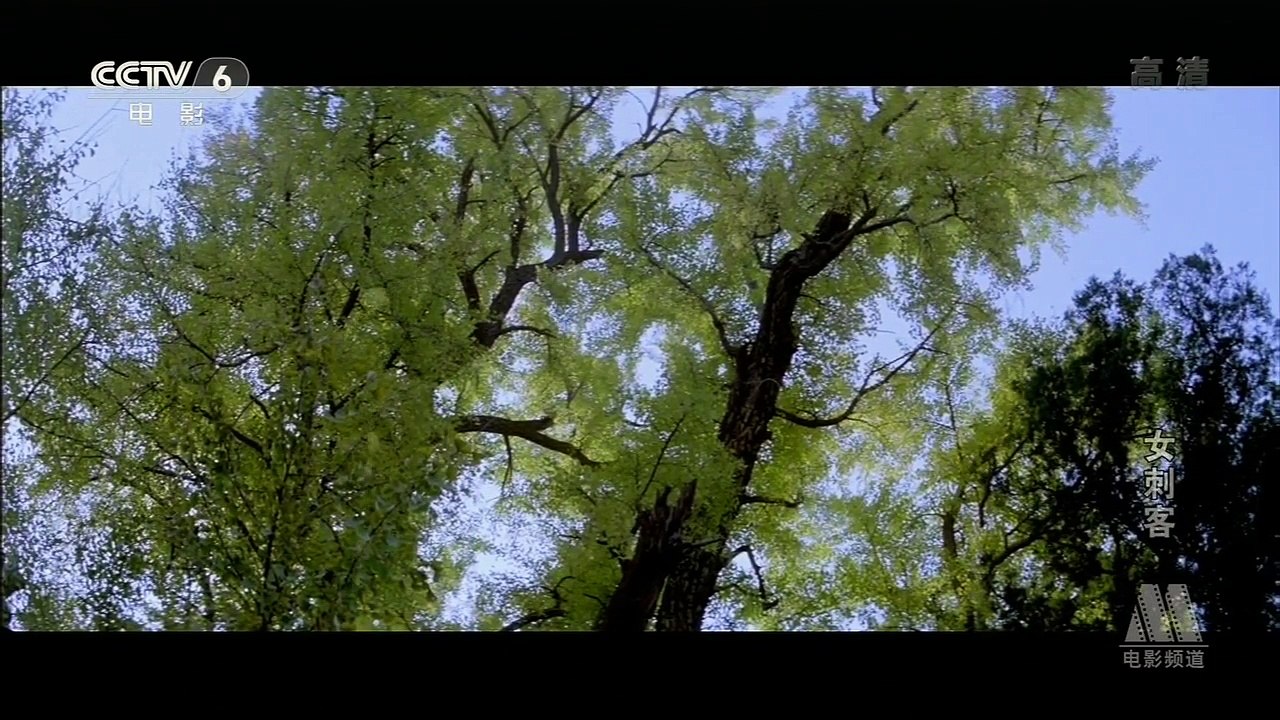 女刺客 1988 720P 2