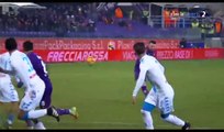 All Goals & Highlights HD - Fiorentina 3-3 Napoli - 22.12.2016