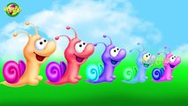 Snail Cartoon Finger Family Nursery Finger Family Rhymes Kids World Finger Family Rhymes