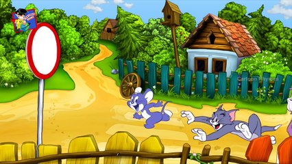 Cartoon Wheels on the Bus Nursery Rhyme | Funny Cat and Mouse Rhyme | Cartoon Animation Rhymes