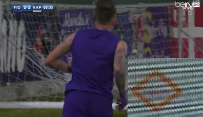 ACF Fiorentina 3-2 SSC Napoli - All Goals Exclusive - (22/12/2016) / SERIE A