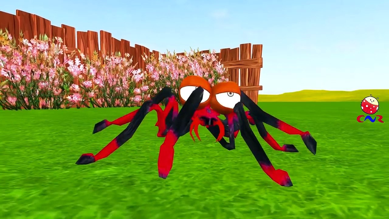 Itsy Bitsy Spider Song Children Nursery Rhymes | Itsy Bitsy Spider Cartoon Rhymes | Incy Wincy