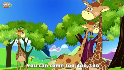 We Are Going To The Zoo Song | Kids Hut Rhymes |