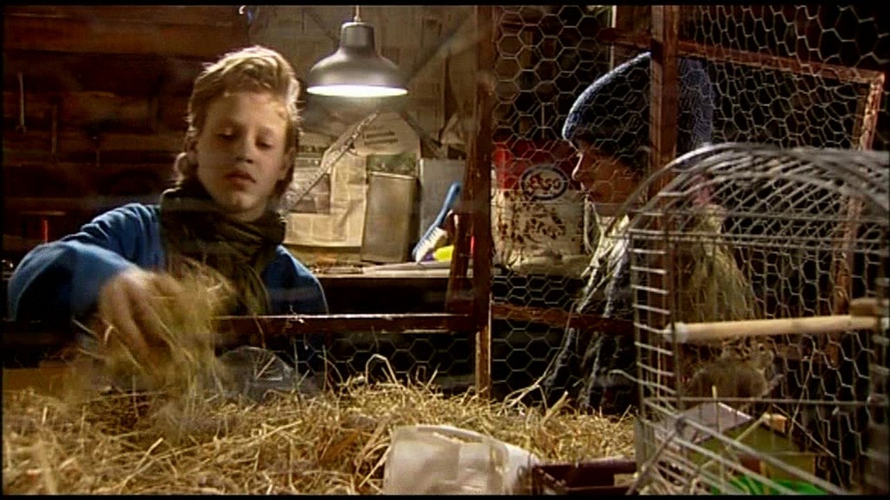 Jesus und Josefine 23 Thorsen gibt nicht auf