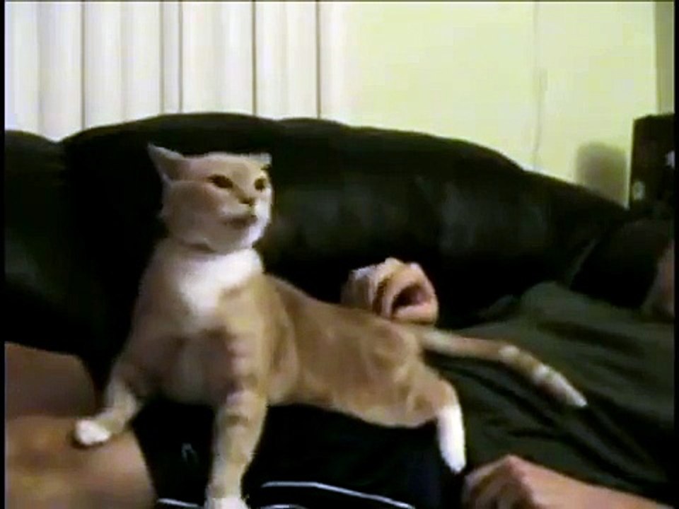 What Is That Feeling - Funny Videos at Videobash
