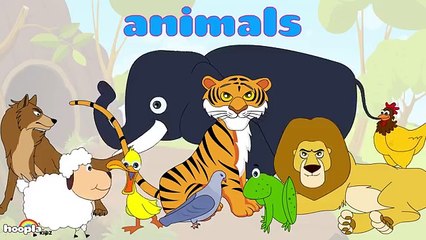 Learn About Sounds of Animals 2 | Preschool Activity by Hooplakidz