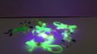 Coole gekleurde hagedis om mee te pranken en te spelen | UV-Licht hagedissen