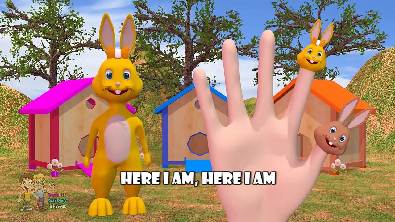 Rabbit 3D Finger Family | Nursery Rhymes | 3D Animation From TanggoKids Nursery Rhymes