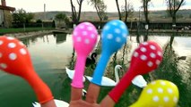 Learn colors with dots polka Balloons for kids Children nursery rhymes song Balloon swans fun educat