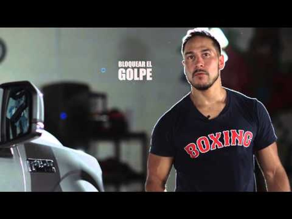 ¡No te pierdas la octava entrega de Fuerza Ford!