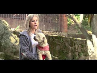 Milagros caninos: al rescate de fieles compañeros