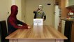Spiderman vs Joker Arm Wrestling Challenge Superhero Movie in Real Life