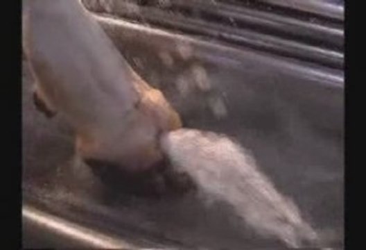 Couloir desinfection onglons