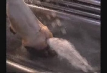 Couloir desinfection onglons