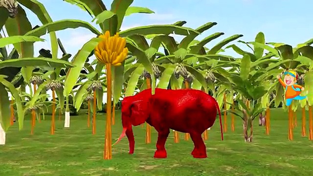 Dinosaur Balloons Wild Animals Finger Family | Colors Animals Finger Family Nursery Rhymes Children