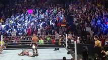 Daniel Bryan vs. Triple H - WWE World Heavyweight Championship Match- Raw, April 7, 2014