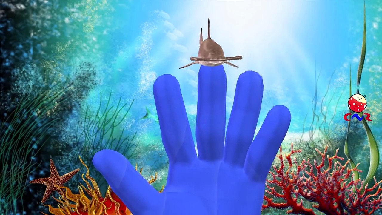 Animals Cartoons Finger Family | Children Nursery Rhymes Collection ...