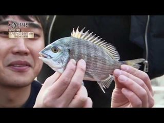 겨울愛 떠나는 포근한 울진 여행~