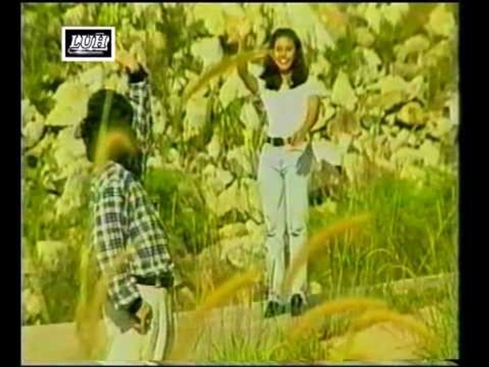 Minta Nuan Pulai Baru - Andrewson Ngalai