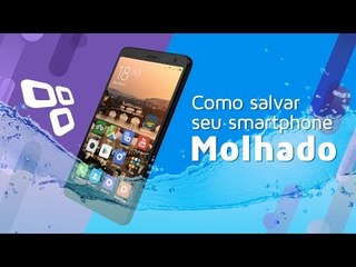 Como salvar seu smartphone molhado em caso de "mergulho acidental"? - TecMundo