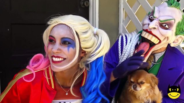 Frozen Elsa Saves Santa Zombie! w- Spiderman Joker Clown Baby Hulk Superhero Fun