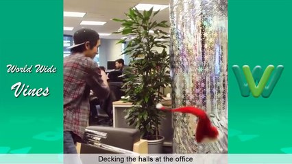 Best Magic Show Ever!! NEW ZACH KING Magic Trick Vines Compilation 2016