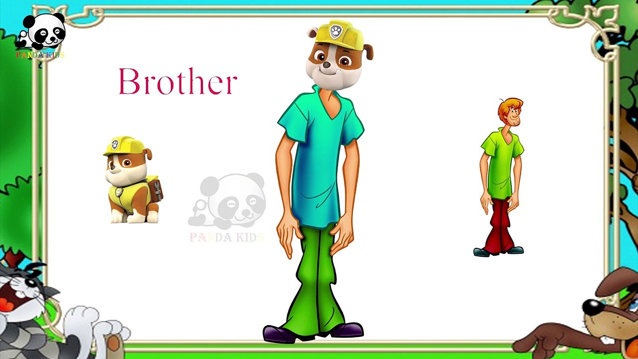 Paw Patrol Scooby-Doo Finger Family Songs - Daddy Finger Family Nursery Rhymes - Panda Kids