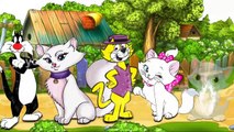 Cat Finger Family | Rhymes For Kids | Nursery Rhymes | Mother Poems | Childrens Rhymes