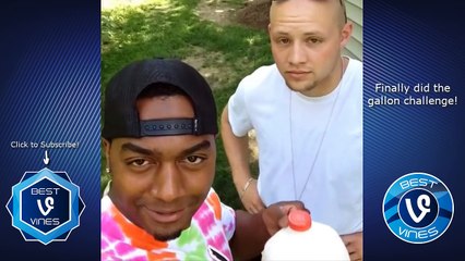 BEST Marlon Webb Vines with Titles! - Marlon Webb Vine Compilation 2016   BEST VINES