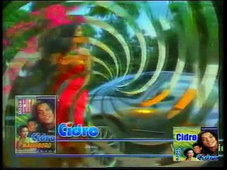 Didi Kempot - CIDRO