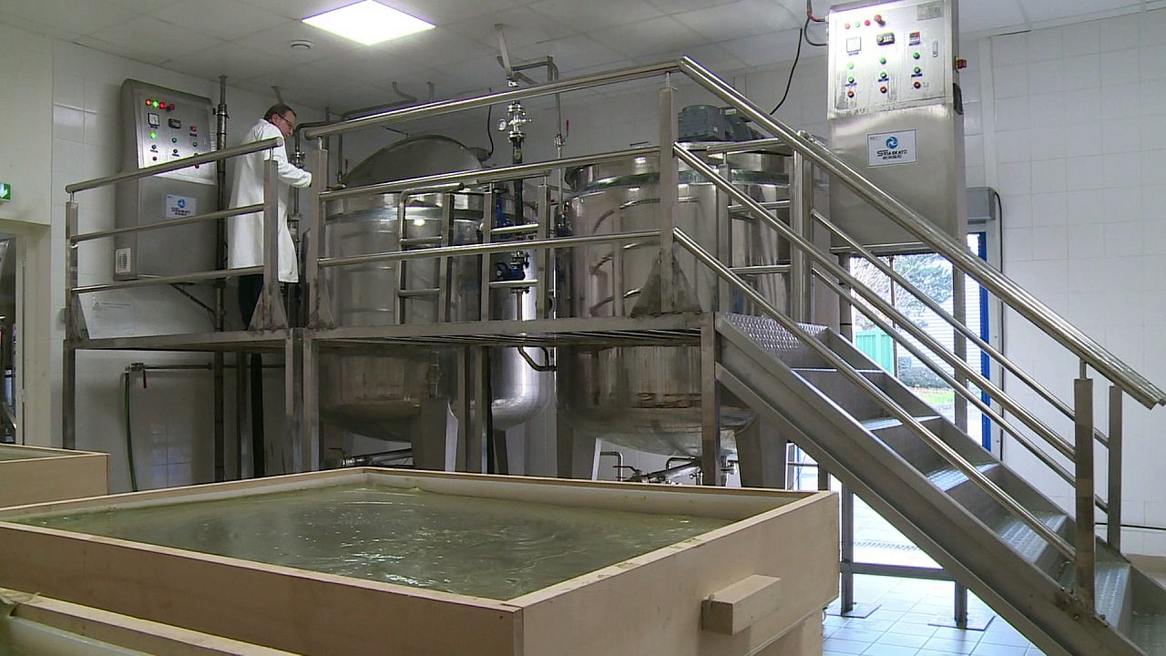 Aleppo-Seife - Made in France